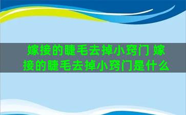 嫁接的睫毛去掉小窍门 嫁接的睫毛去掉小窍门是什么